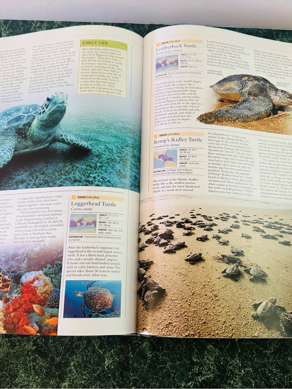 Ocean: The World's Last Wilderness Revealed -Hardcover Coffee Table Book 510p